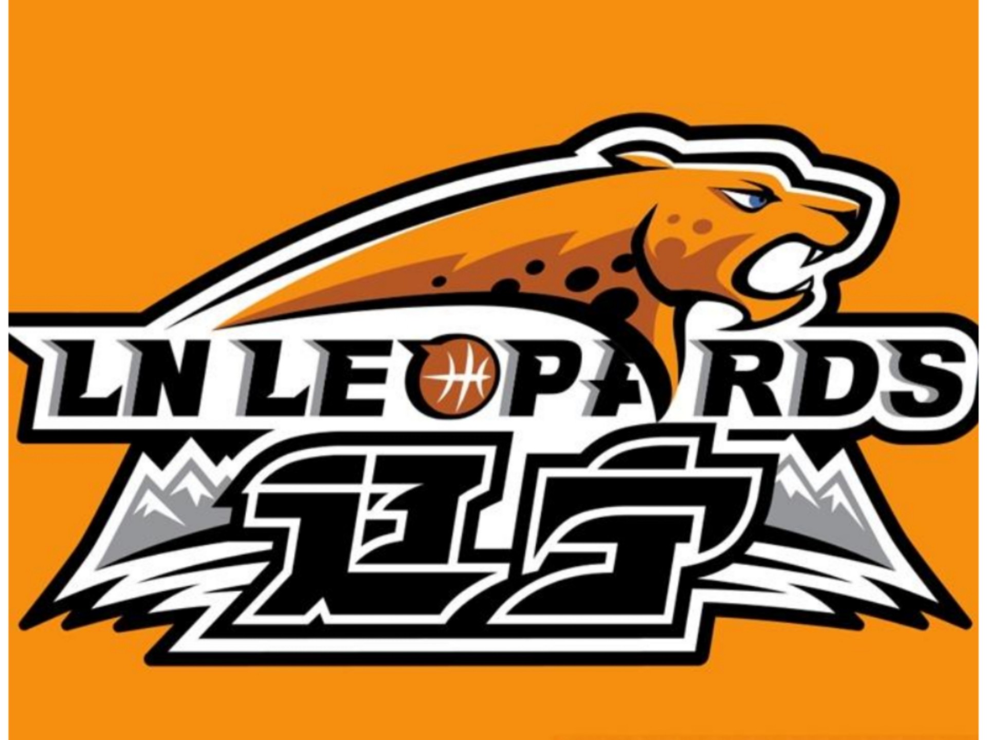 辽宁本钢训练开放日,转会期单刀错失引欢呼,NBA总决赛在即,数据趋势出现新变化(辽宁本钢第一次夺冠) 辽宁本钢训练开放日,转会期单刀错失引欢呼,NBA总决赛在即,数据趋势出现新变化(辽宁本钢第一次夺冠)